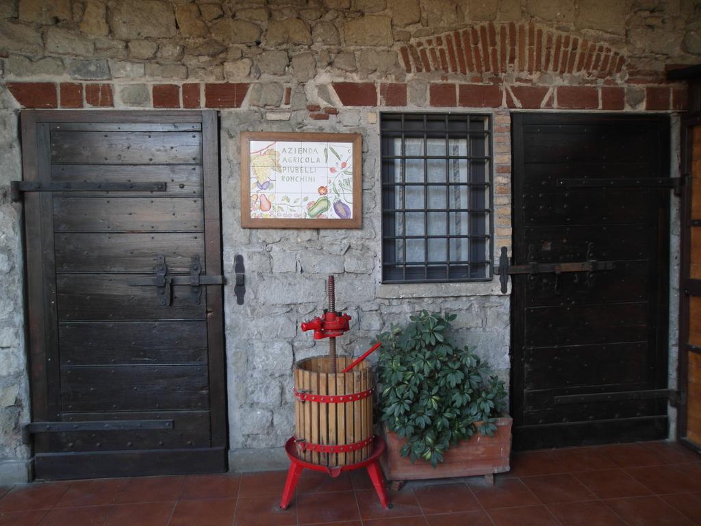 Casale Degli Archi Villa กัสเตลกันดอลโฟ ภายนอก รูปภาพ